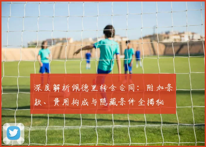 深度解析佩德里转会合同：附加条款、费用构成与隐藏条件全揭秘
