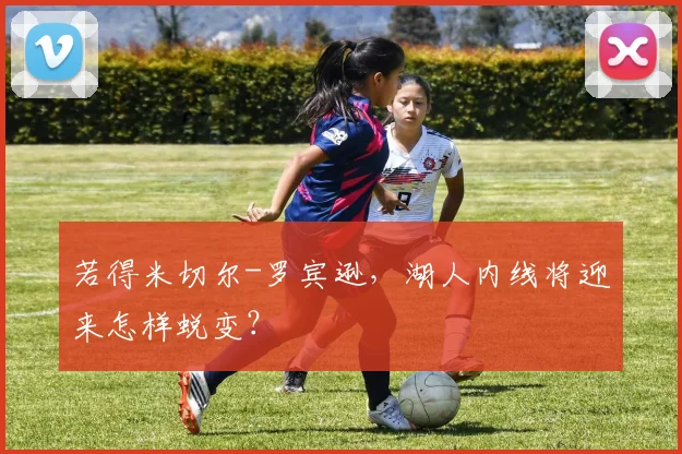 若得米切尔-罗宾逊，湖人内线将迎来怎样蜕变？