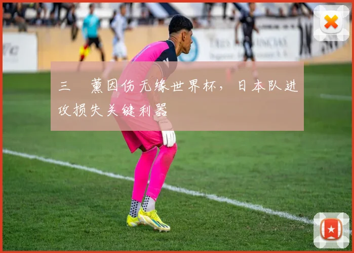 三笘薰因伤无缘世界杯，日本队进攻损失关键利器