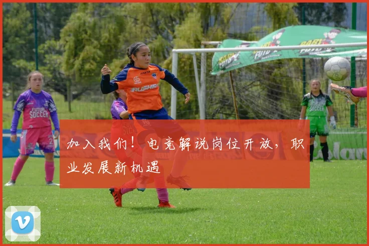 加入我们!电竞解说岗位开放,职业发展新机遇