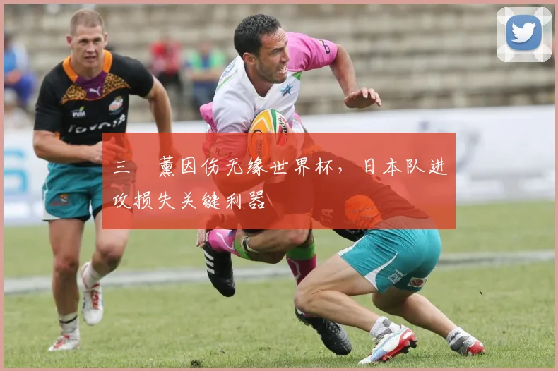 三笘薰因伤无缘世界杯,日本队进攻损失关键利器